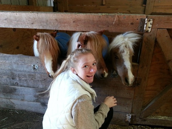 "Minis' @ Cazenovia